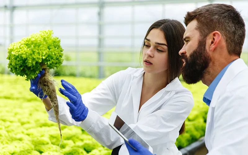 Sustainable Agriculture Practices: